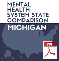 State Comparison Michigan