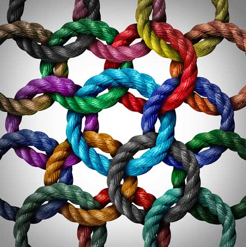 Circle of Ropes - Become a NACBHDD Member